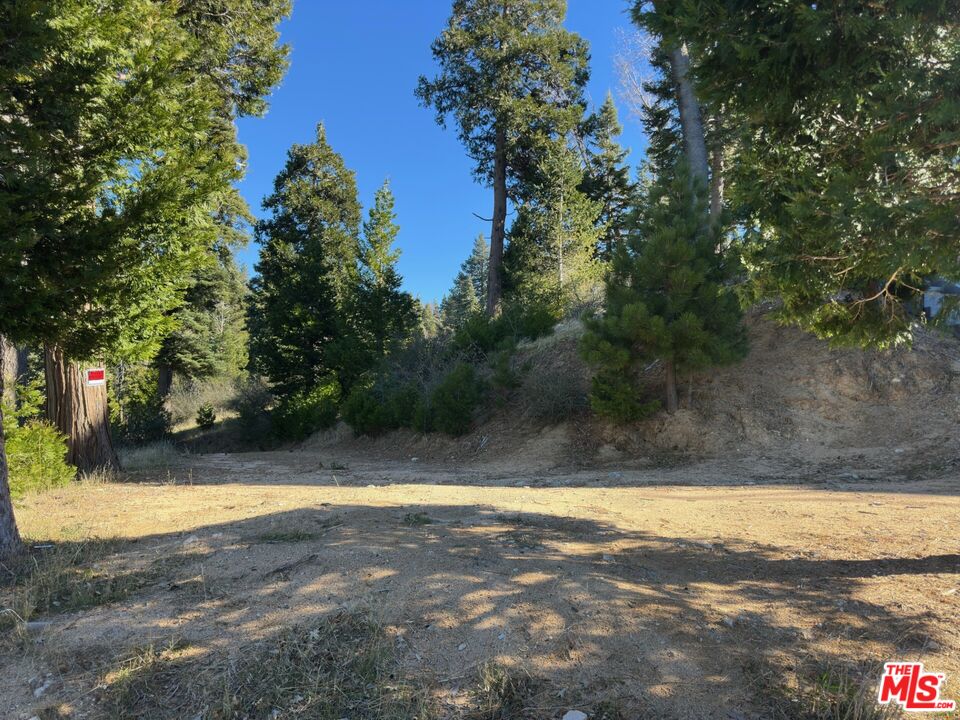 101 Mill Pond Road Lake Arrowhead, CA 92352 - Photo 5 of 19