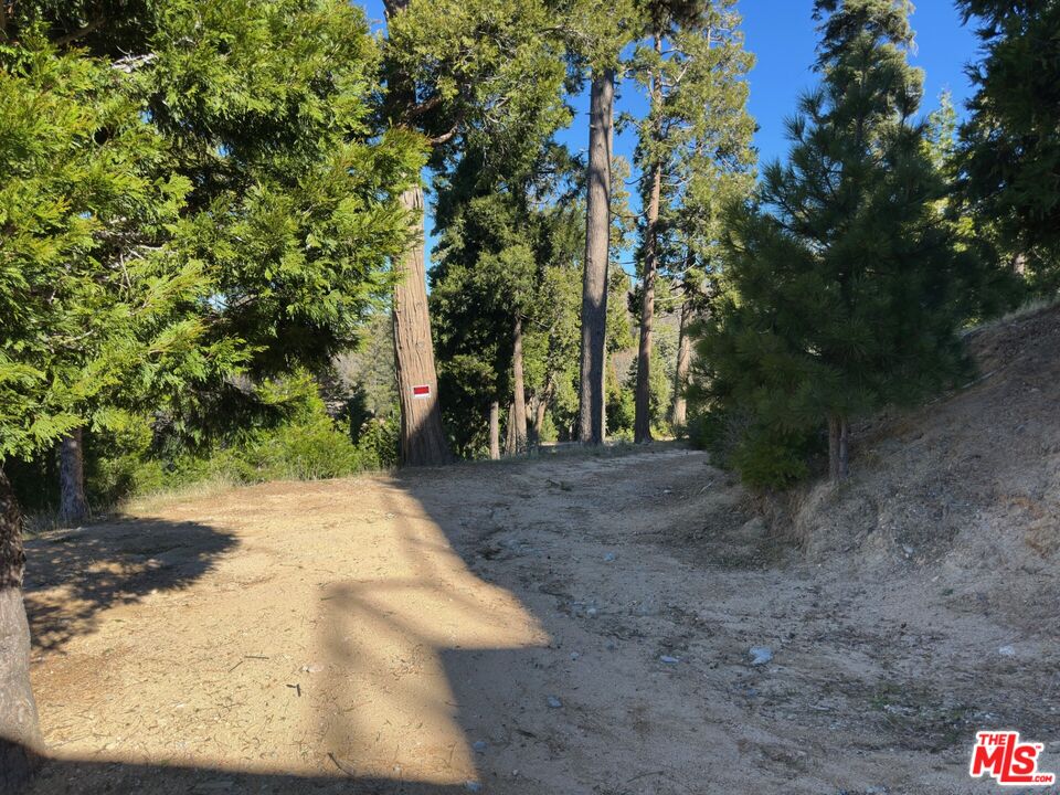 101 Mill Pond Road Lake Arrowhead, CA 92352 - Photo 6 of 19