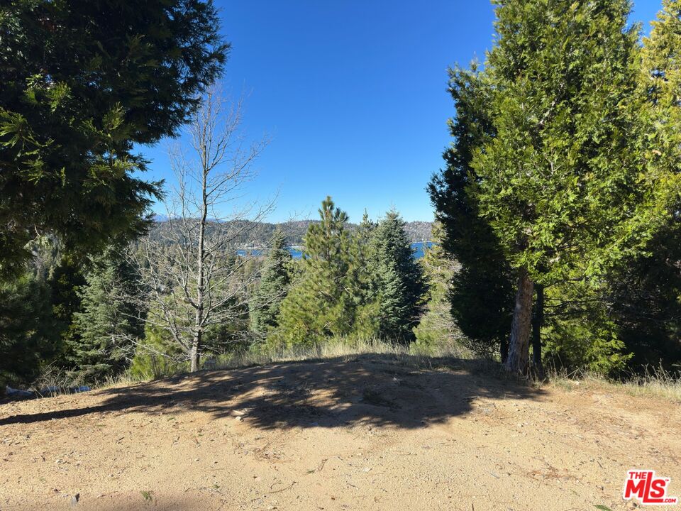 101 Mill Pond Road Lake Arrowhead, CA 92352 - Photo 7 of 19