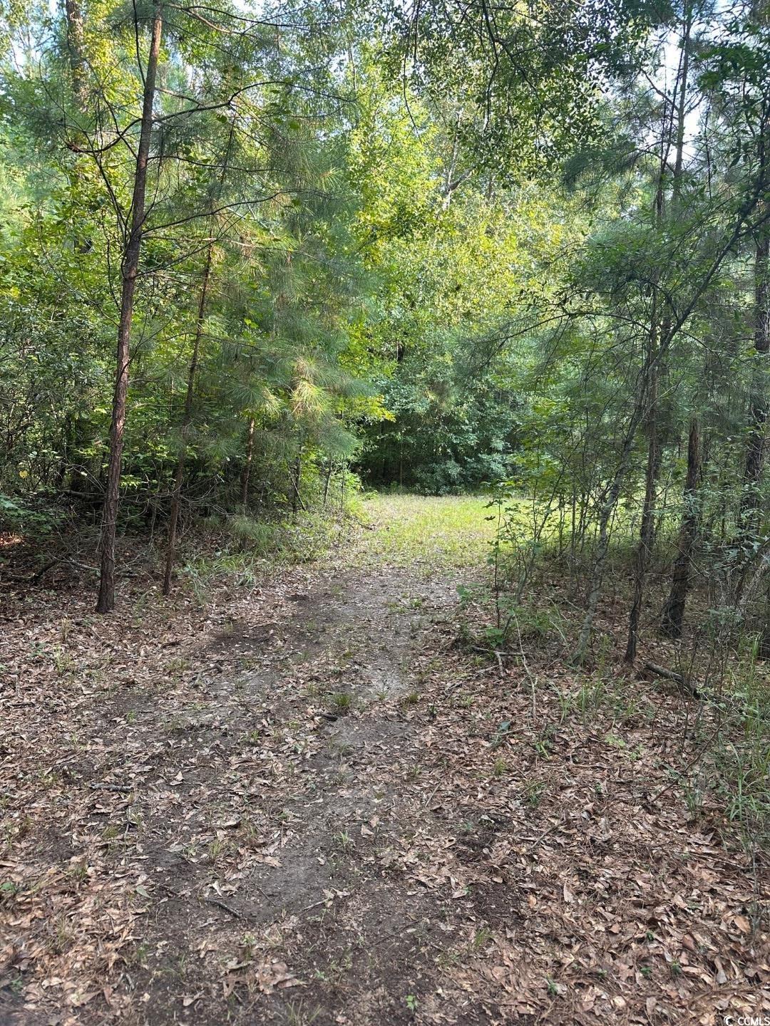 Tbd Tbd Godwin Prince Court Loris, SC 29569 - Photo 2 of 5