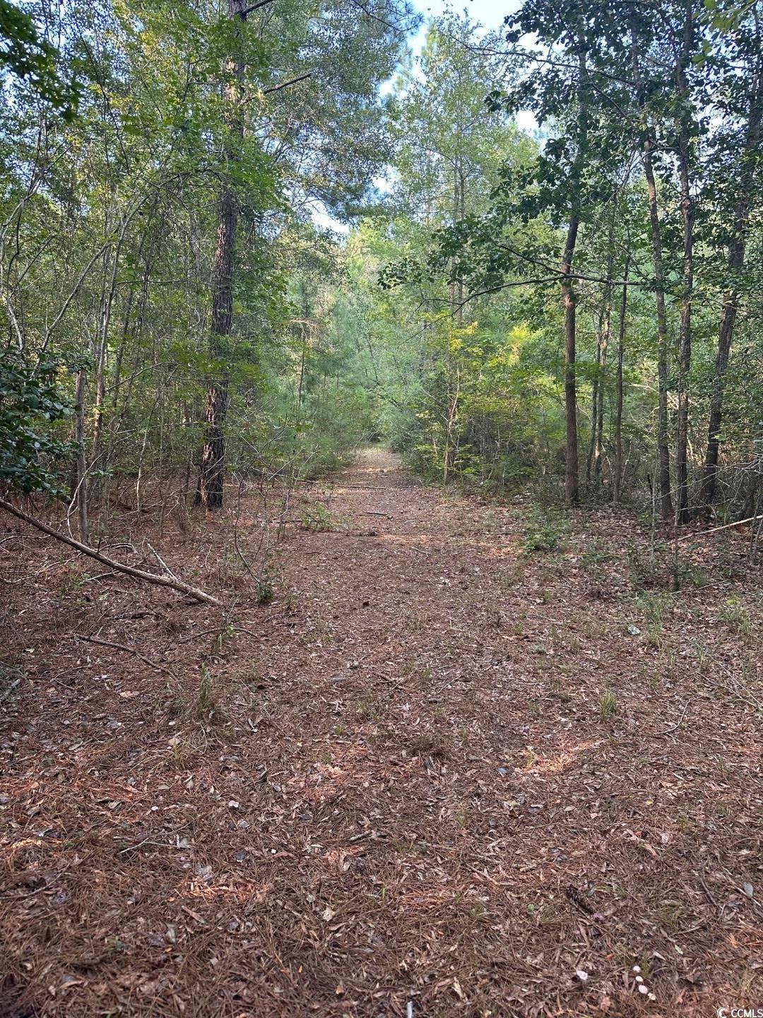 Tbd Tbd Godwin Prince Court Loris, SC 29569 - Photo 3 of 5