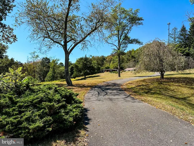 a view of a yard with a tree