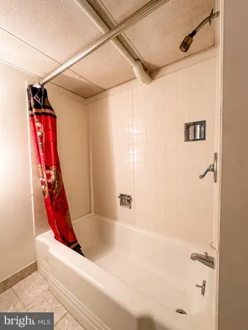 a view of a backyard with plants and large trees