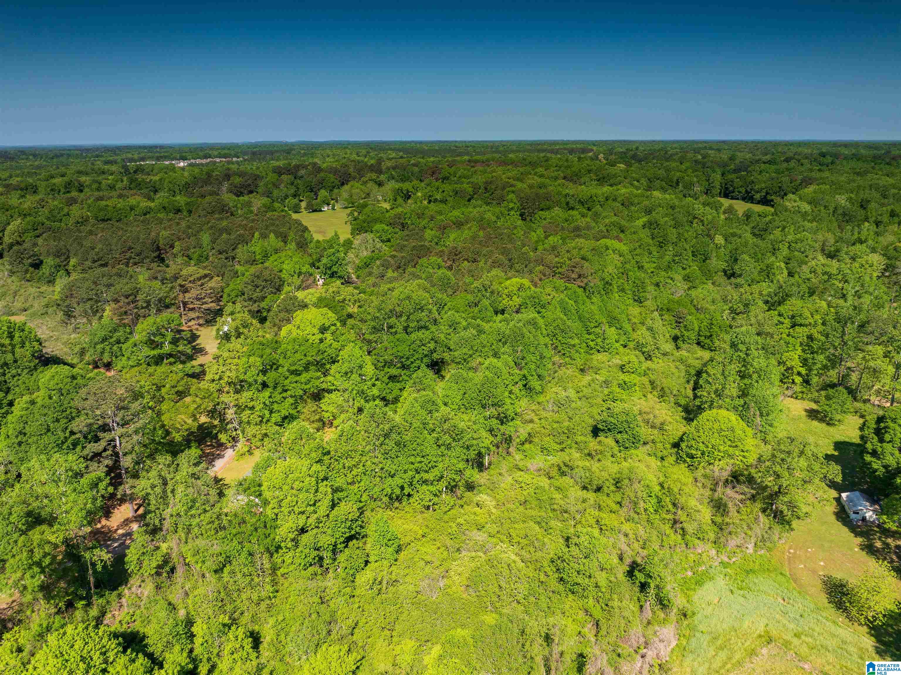 Off Of Joe Brackett Road, Unit X Jasper, AL 35504 - Photo 19 of 26