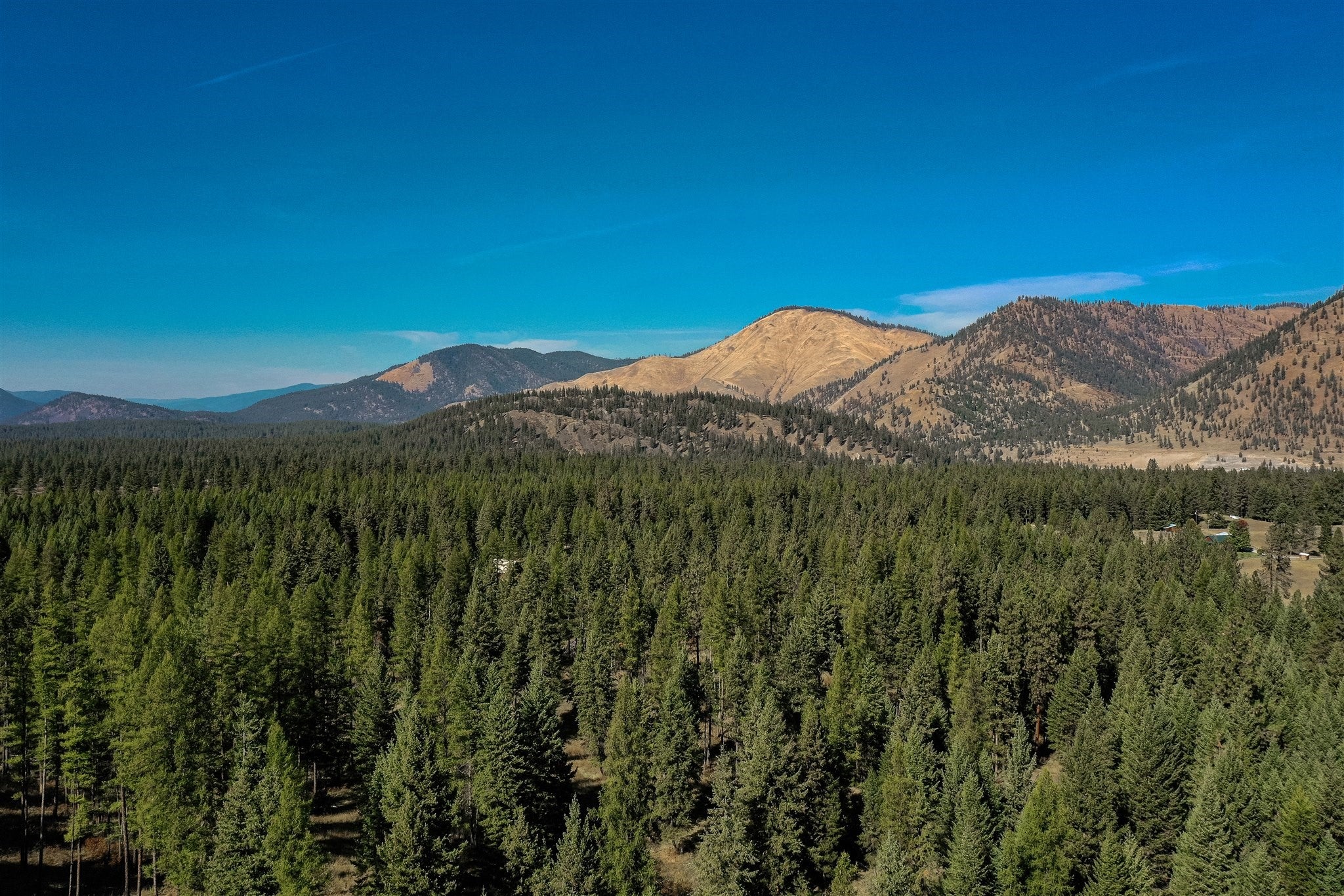 814 Quartz Road Superior, MT 59872 - Photo 12 of 58 Gallery Image 12