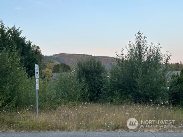 102 Corduroy Road Kelso, WA 98626 - Photo 3 of 8 Gallery Image 3