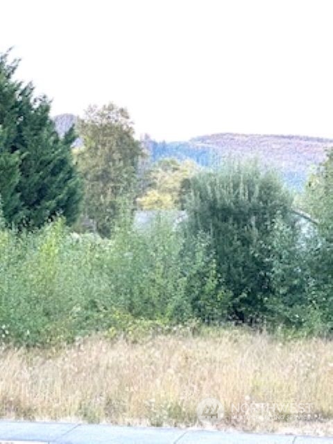 102 Corduroy Road Kelso, WA 98626 - Photo 7 of 8 Gallery Image 7