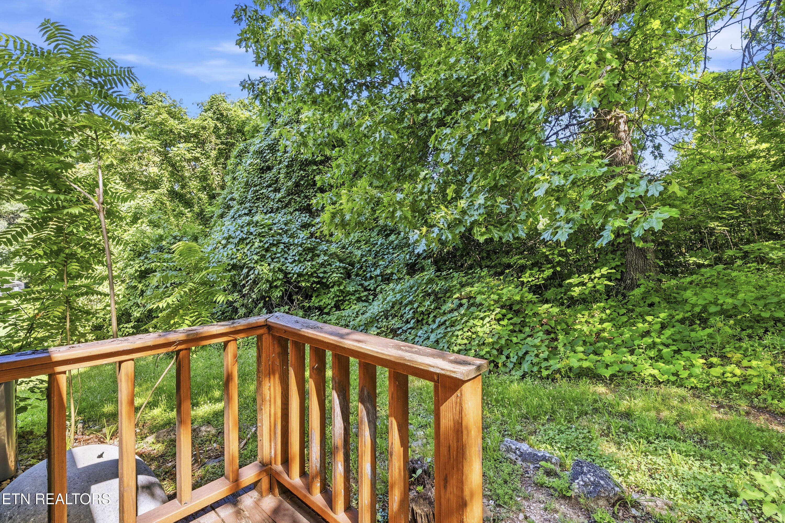 205 Booker Road Maynardville, TN 37807 - Photo 4 of 24 DSC05655