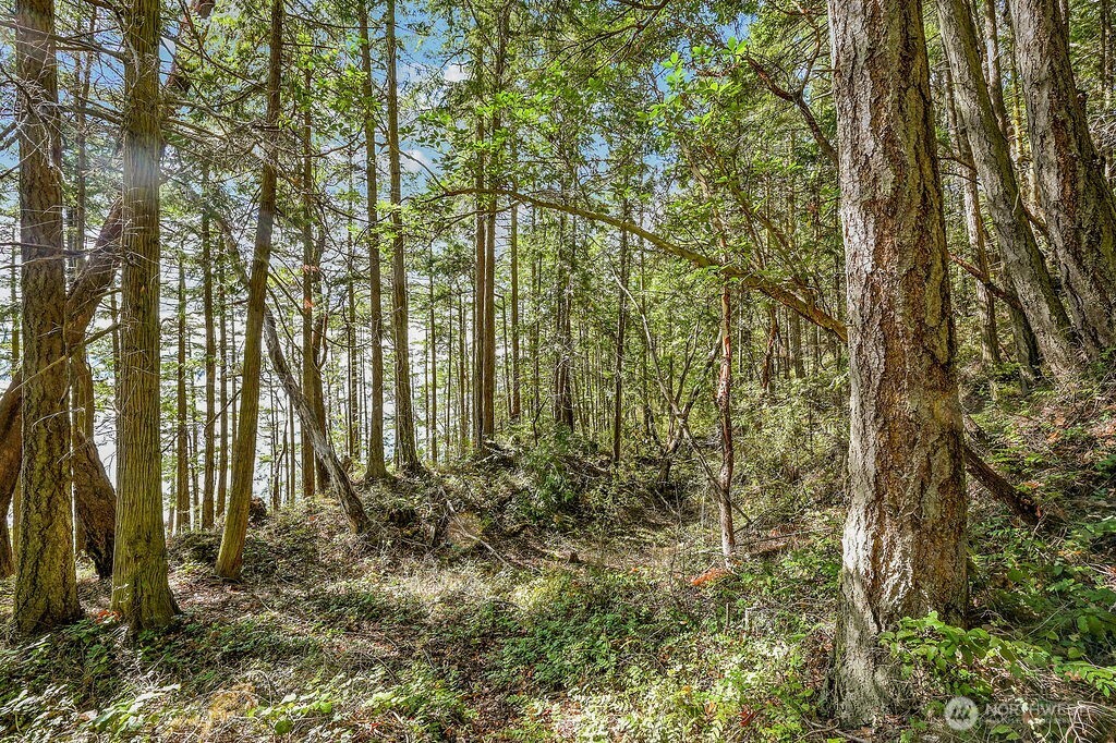 6982 Cape George Road Port Townsend, WA 98368 - Photo 26 of 30 Gallery Image 26