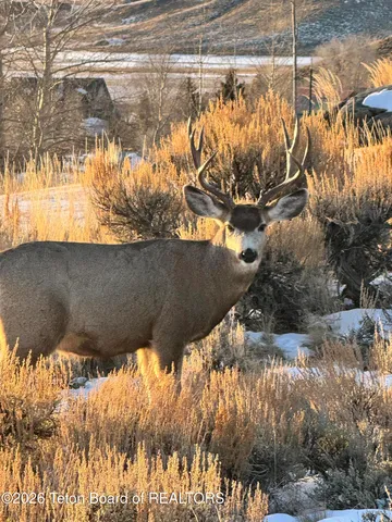 $195,000 | Tba Tba Hidden Hills, Pinedale, WY 82941