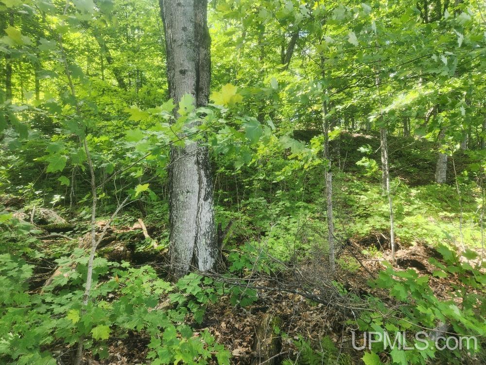 Tbd West Tamarack Lake Road, Unit LOT 5 Watersmeet, MI 49969 - Photo 43 of 66