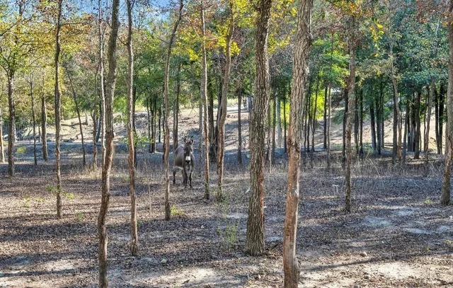 a view of a city with outside space