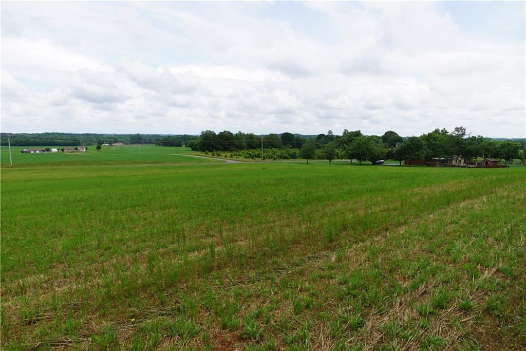 N/a Reepsville Road Vale, NC 28168 - Photo 2 of 8