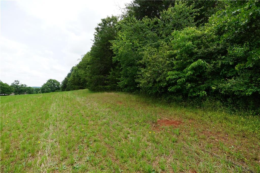 N/a Reepsville Road Vale, NC 28168 - Photo 4 of 8