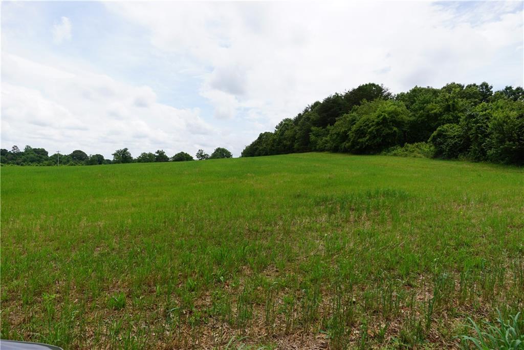 N/a Reepsville Road Vale, NC 28168 - Photo 5 of 8