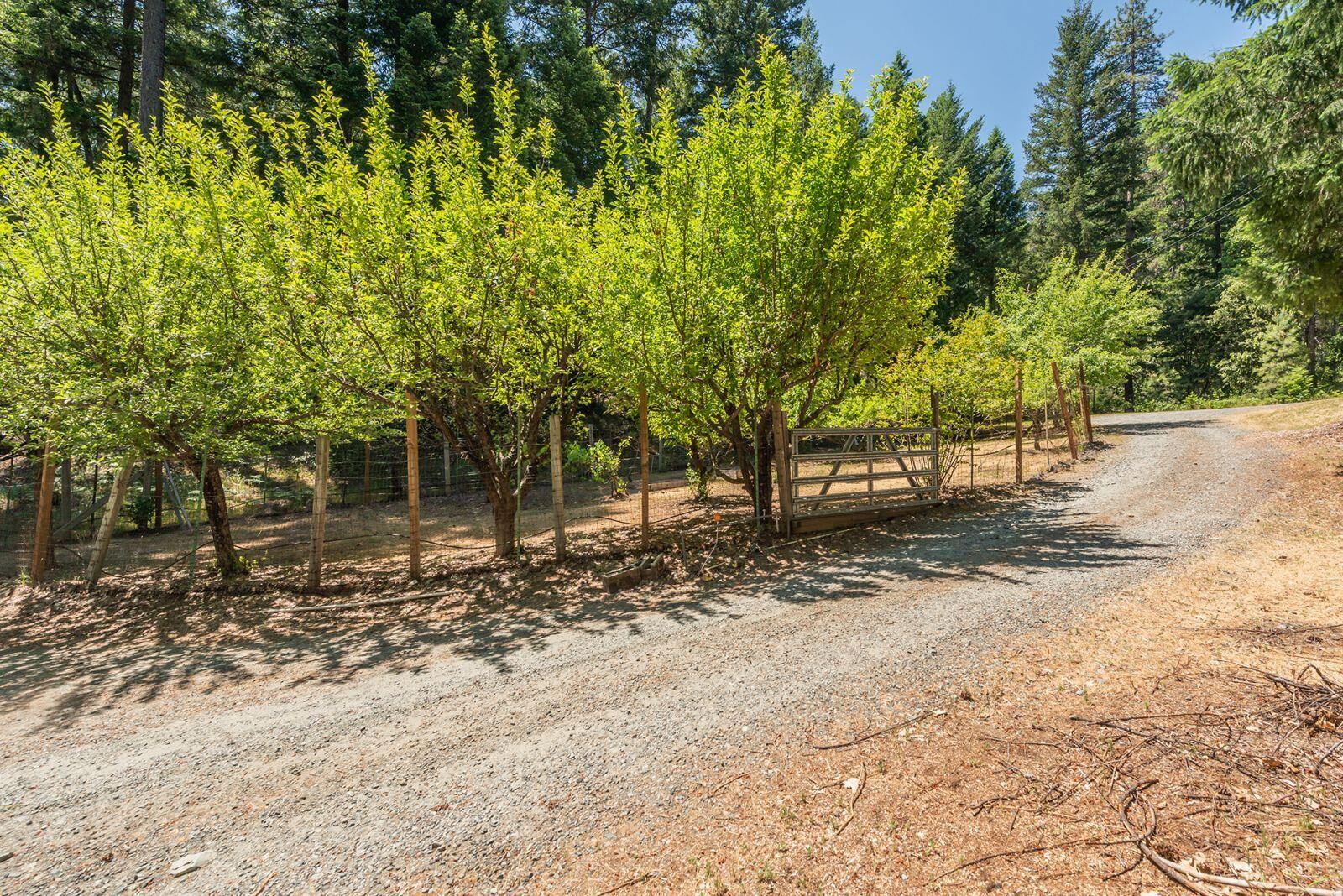 891 Salt Flat Road Lewiston, CA 96052 - Photo 35 of 50