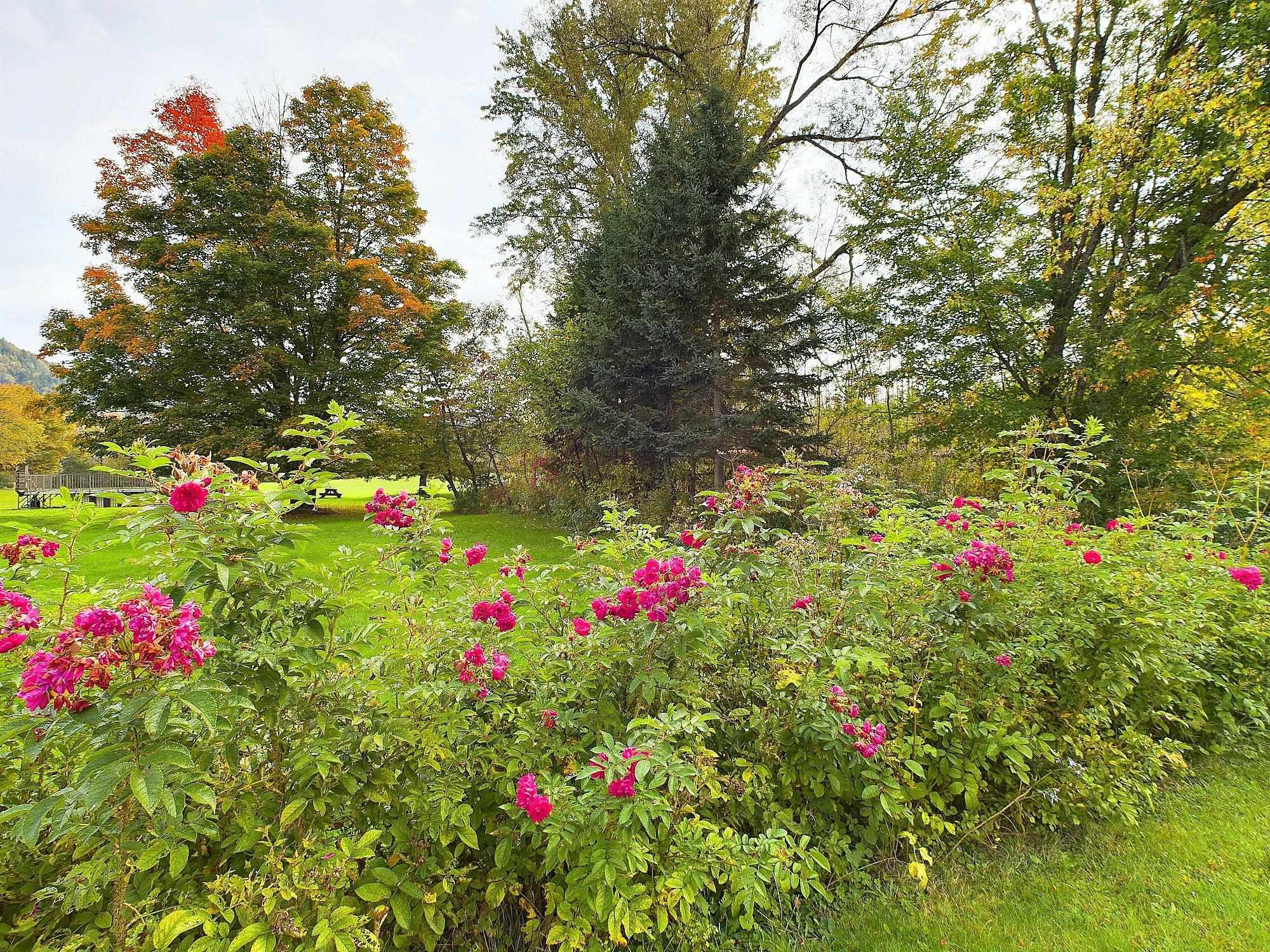 204 Hall Strm Road Canaan, VT 05902 - Photo 51 of 51 Gallery Image 51