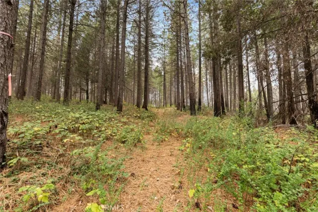 $125,000 | 0 Old Forbestown, Forbestown, CA 95941