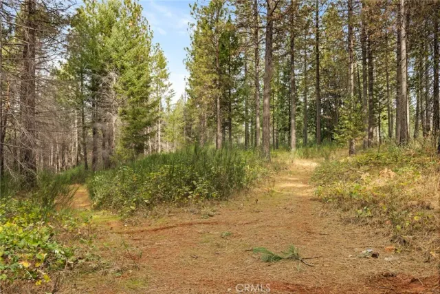 a backyard of a house with large trees
