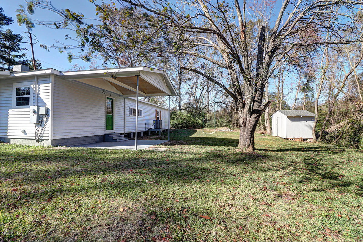 19 Campground Road McHenry, MS 39561 - Photo 11 of 13 Backyard