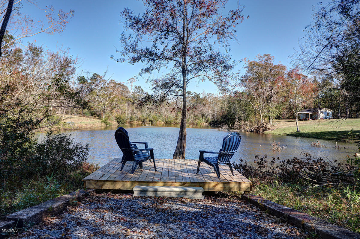 19 Campground Road McHenry, MS 39561 - Photo 8 of 13 BackWaterfront1