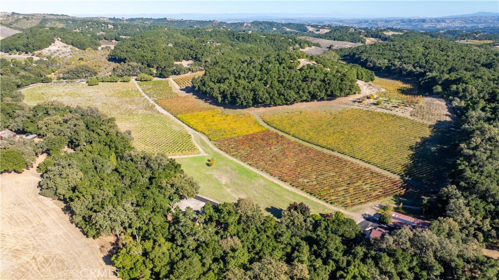 1545 Willow Creek Road Paso Robles, CA 93446 - Photo 45 of 52 Aerial shot of the vineyard surrounded by stately oaks.