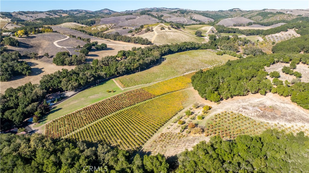 1545 Willow Creek Road Paso Robles, CA 93446 - Photo 46 of 52 Spectacular rolling hills.