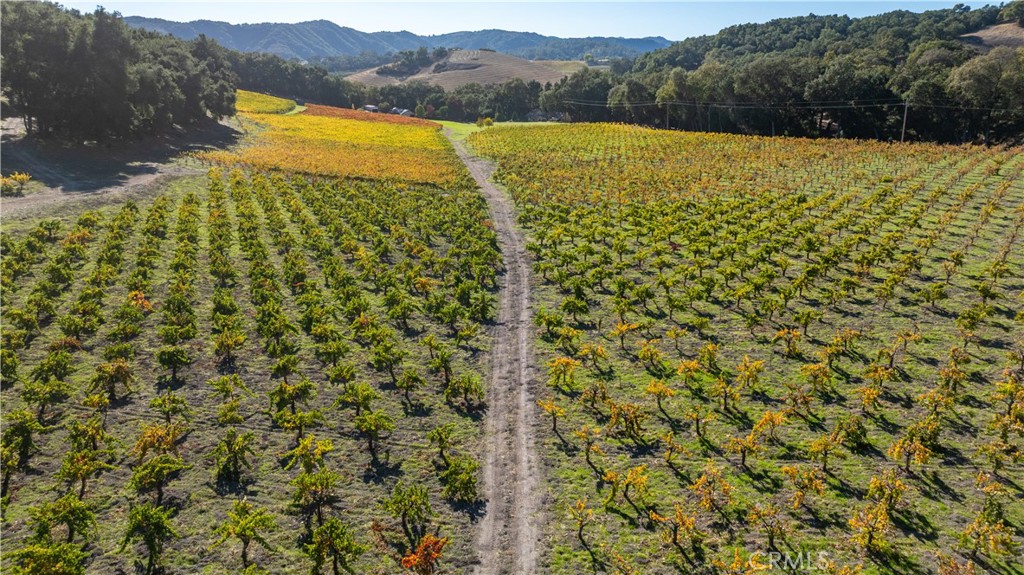 1545 Willow Creek Road Paso Robles, CA 93446 - Photo 48 of 52 Changing of the seasons.