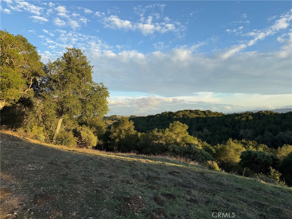 1545 Willow Creek Road Paso Robles, CA 93446 - Photo 49 of 52 Great view site.