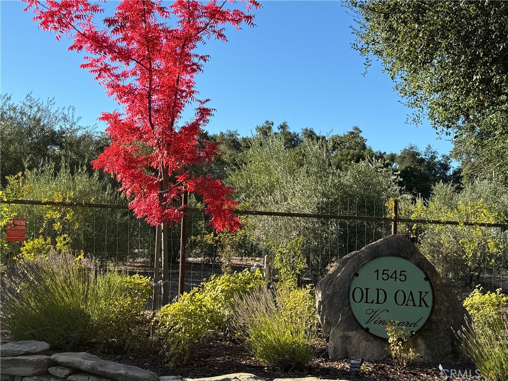 1545 Willow Creek Road Paso Robles, CA 93446 - Photo 51 of 52 Old Oak organic vineyard in the Williamson Act located on the prestigious Willow Creek road.