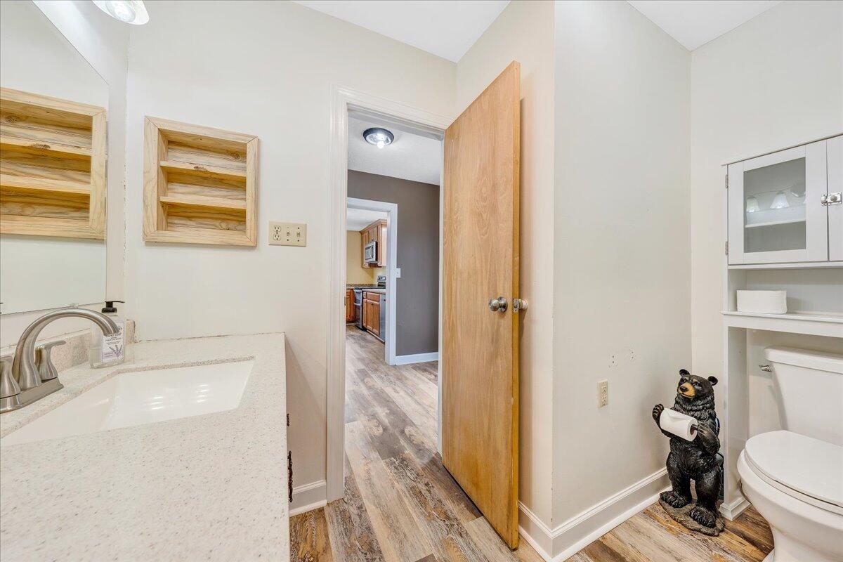 5398 Goodview Road Goodview, VA 24095 - Photo 18 of 59 a bathroom with a sink and a toilet