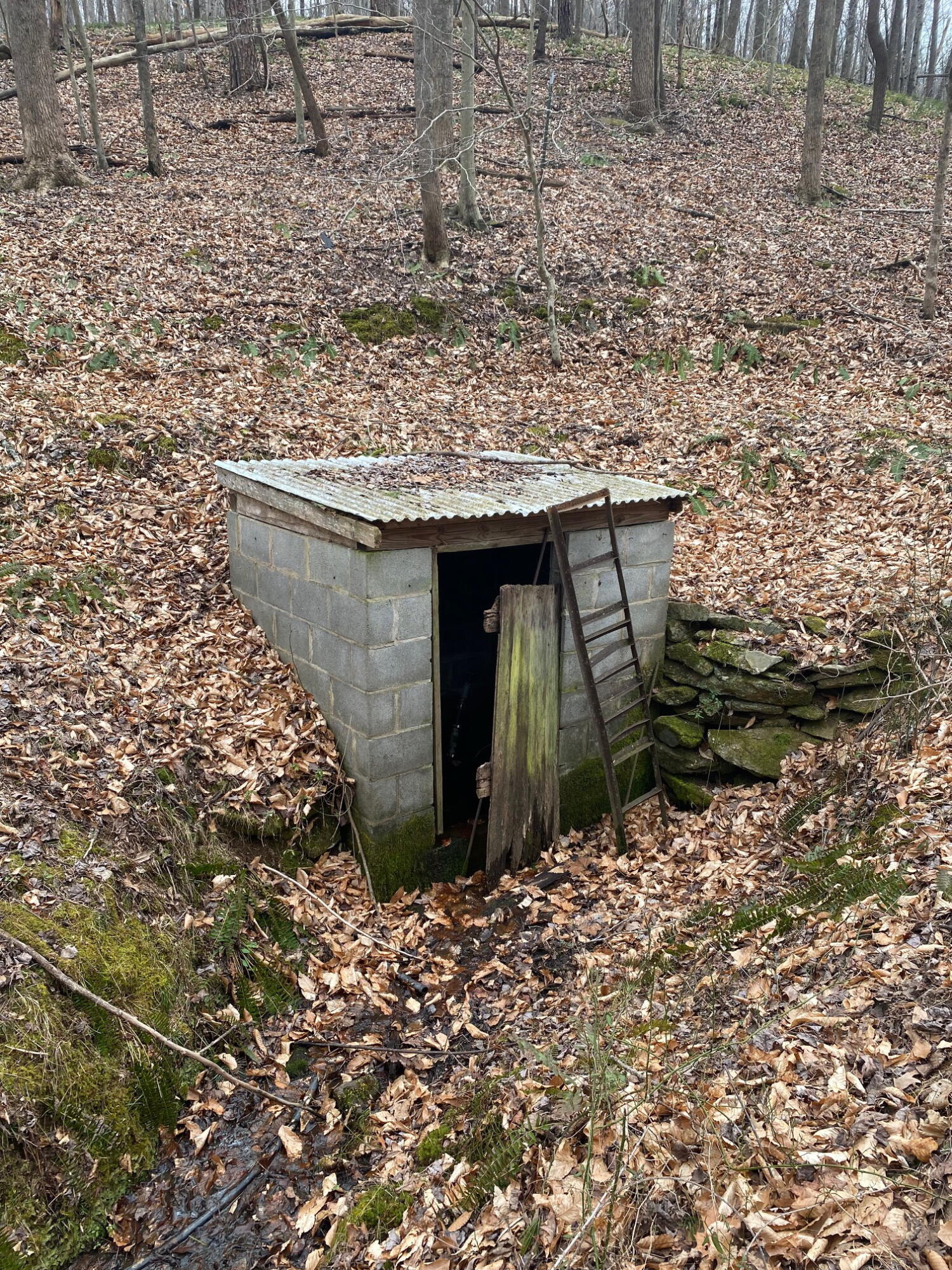 5398 Goodview Road Goodview, VA 24095 - Photo 57 of 59 IMG_4693