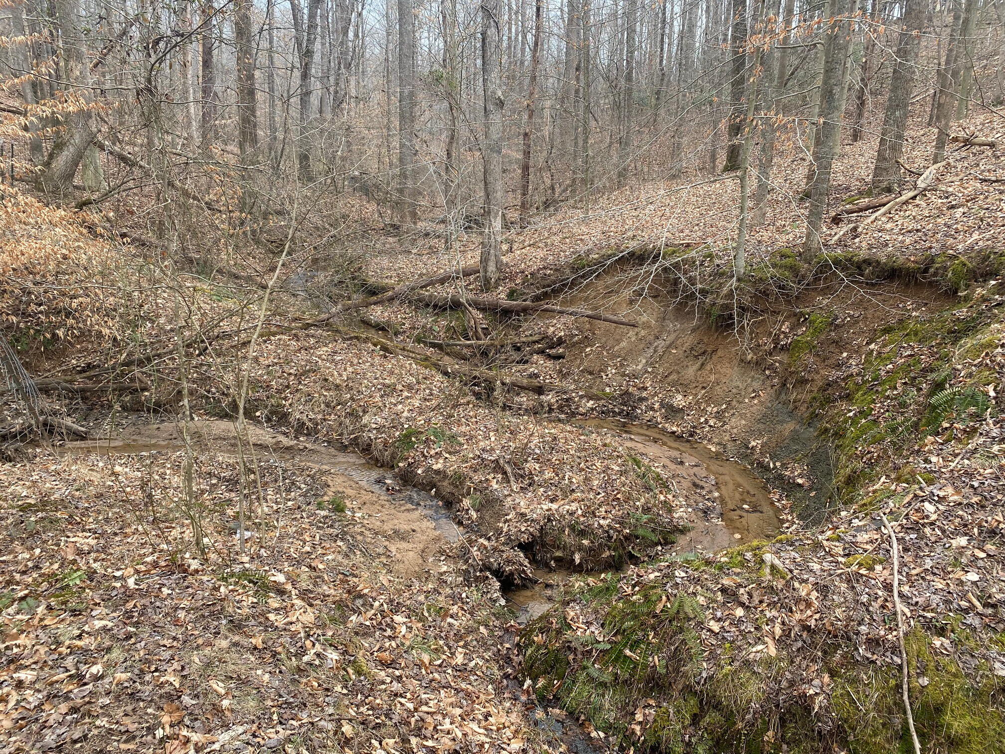 5398 Goodview Road Goodview, VA 24095 - Photo 58 of 59 a view of a backyard with wooden fence