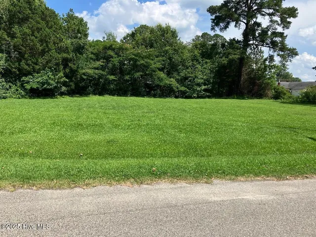 $79,000 | 0 Pitt Street, Grimesland, NC 27837