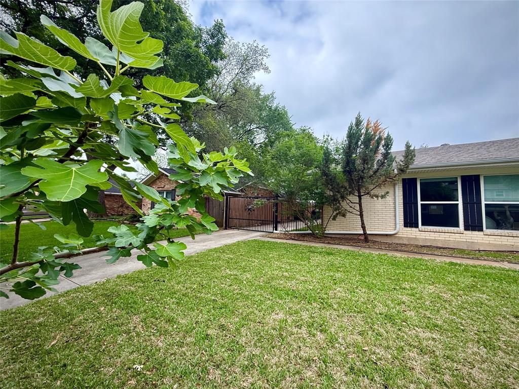 1206 Mildred Lane Benbrook, TX 76126 - Photo 1 of 38 Fig tree!