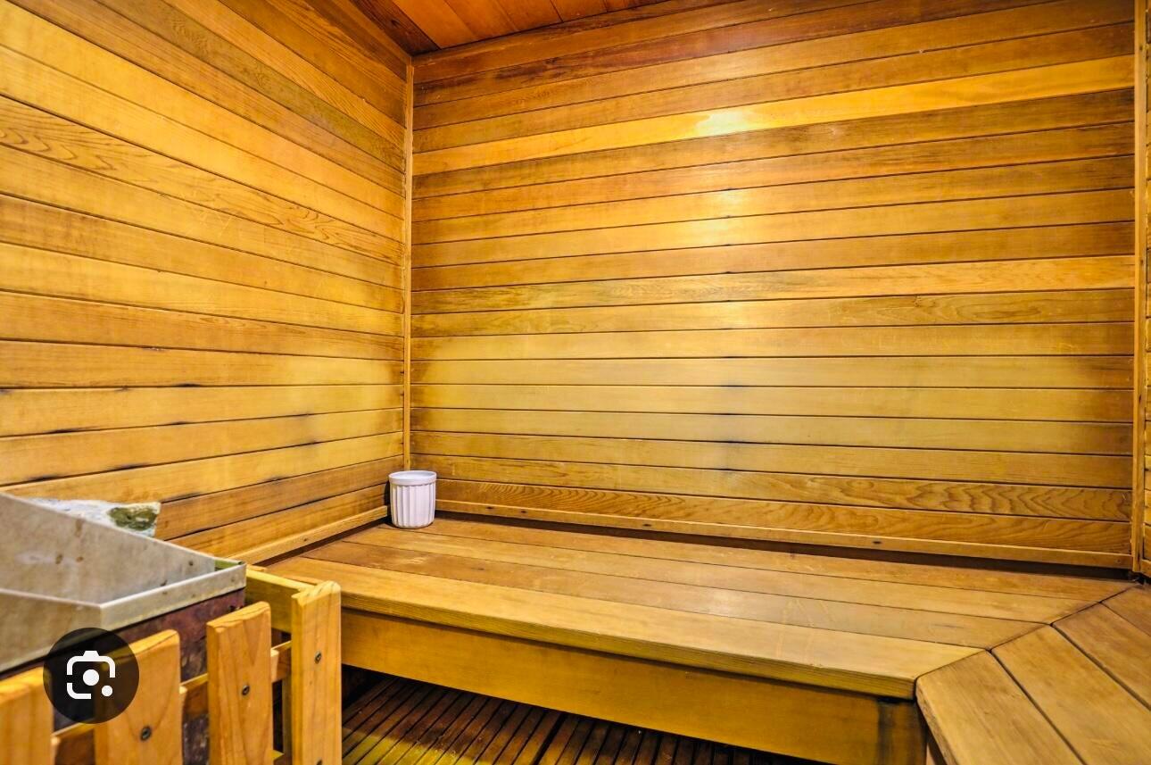 223 West Hunter Rdg Drive, Unit A213 Brian Head, UT 84719 - Photo 12 of 17 Wet and Dry Sauna