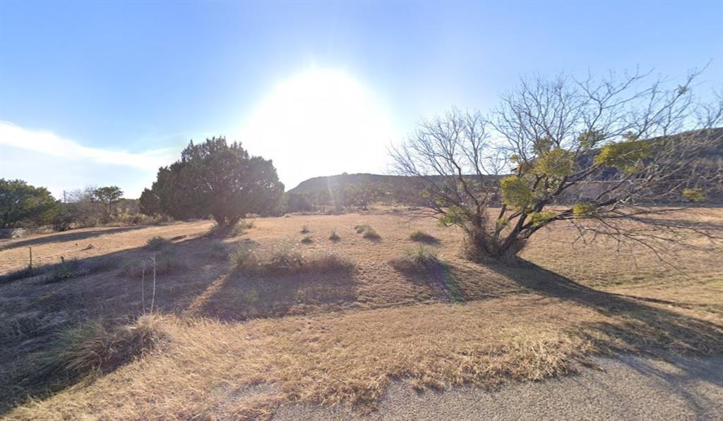 165 Lake Ridge Tuscola, TX 79562 - Photo 2 of 5 a view of a yard with a tree
