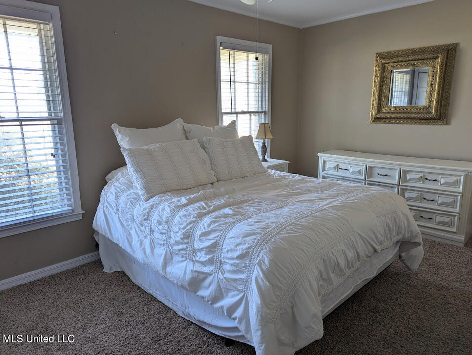 51 West Lake Lee Road Greenville, MS 38701 - Photo 9 of 22 51-W-Lake-Lee-Road-09