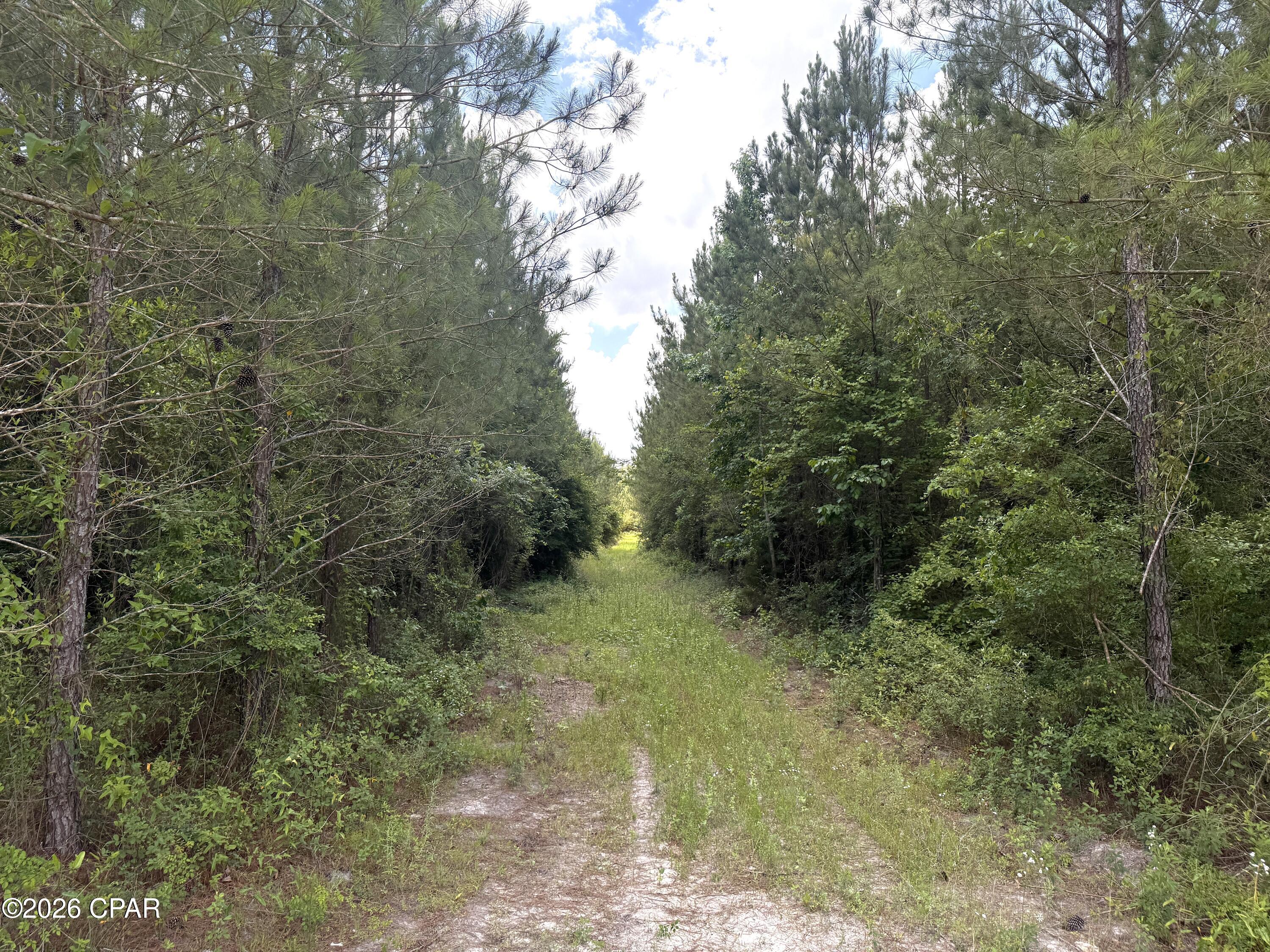 0 Autumn Road Malone, FL 32445 - Photo 36 of 58