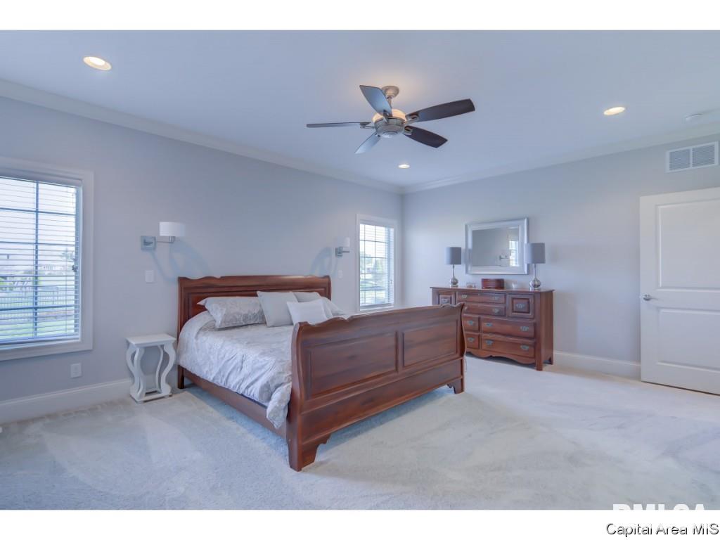 4401 Fiddlers Bend Springfield, IL 62711 - Photo 19 of 35