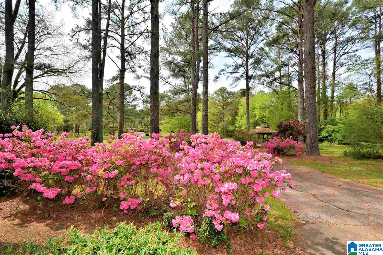 1429 Montevallo Road Southwest Leeds, AL 35094 - Photo 33 of 34