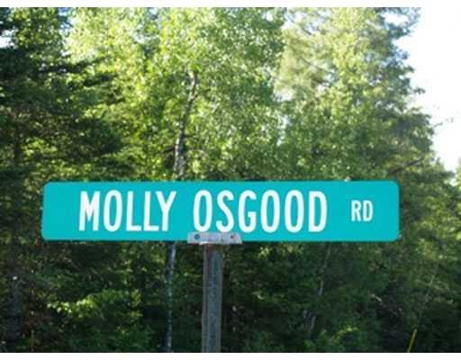 130 Molly Osgood Road Springfield, ME 04487 - Photo 2 of 21 Exterior Front.
