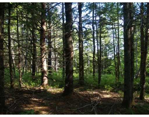 130 Molly Osgood Road Springfield, ME 04487 - Photo 3 of 21 Exterior Front.