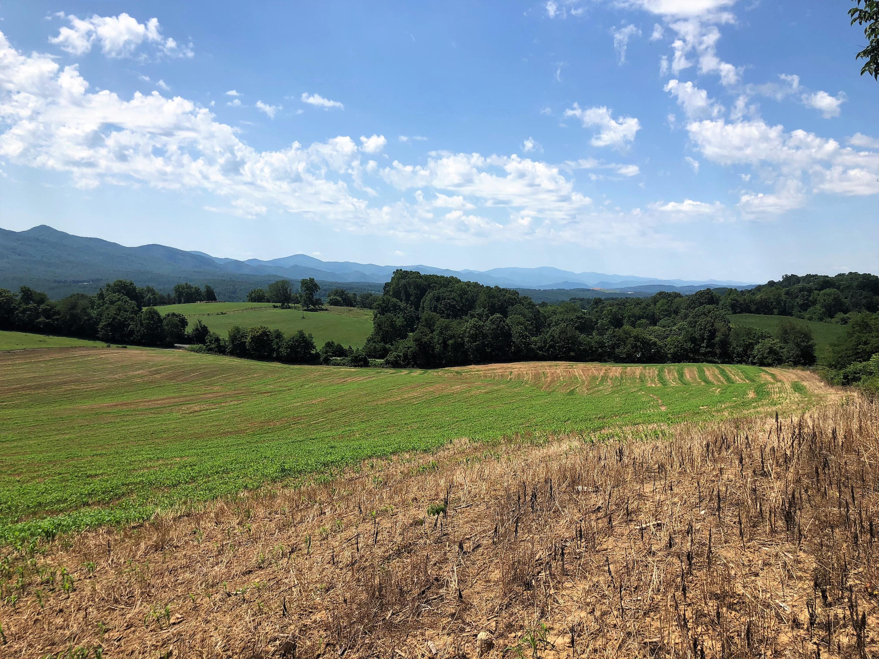 0 Timber Ridge Road Buena Vista, VA 24416 - Photo 17 of 18 IMG_1609