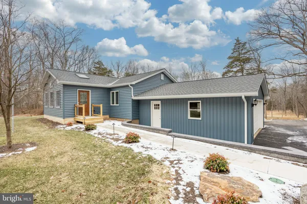 a picture of a tree in a backyard of a house