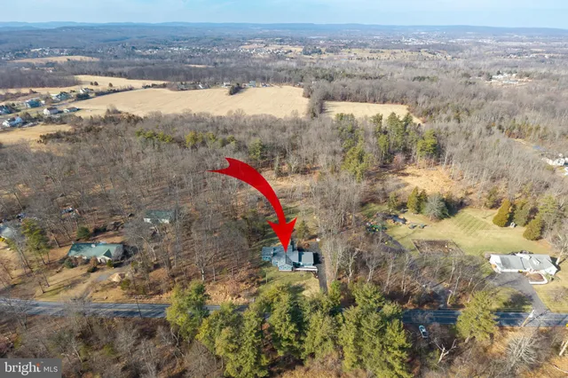 a view of yard with trees