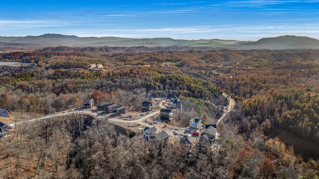 1206 Reedmont Way Sevierville, TN 37876 - Photo 44 of 50 Gallery Image 44