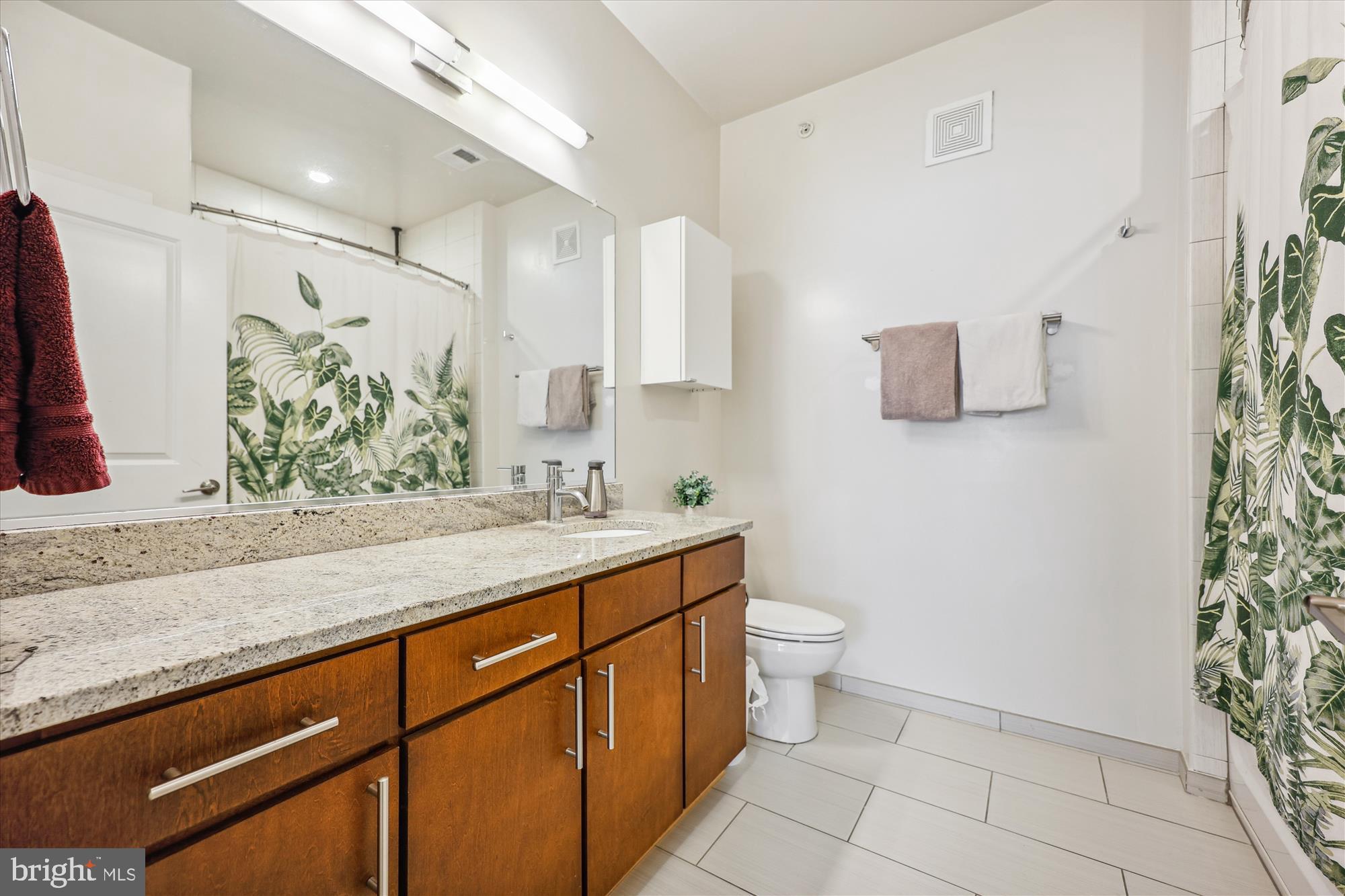 8005 13th Street, Unit 411 Silver Spring, MD 20910 - Photo 33 of 65 Full bath