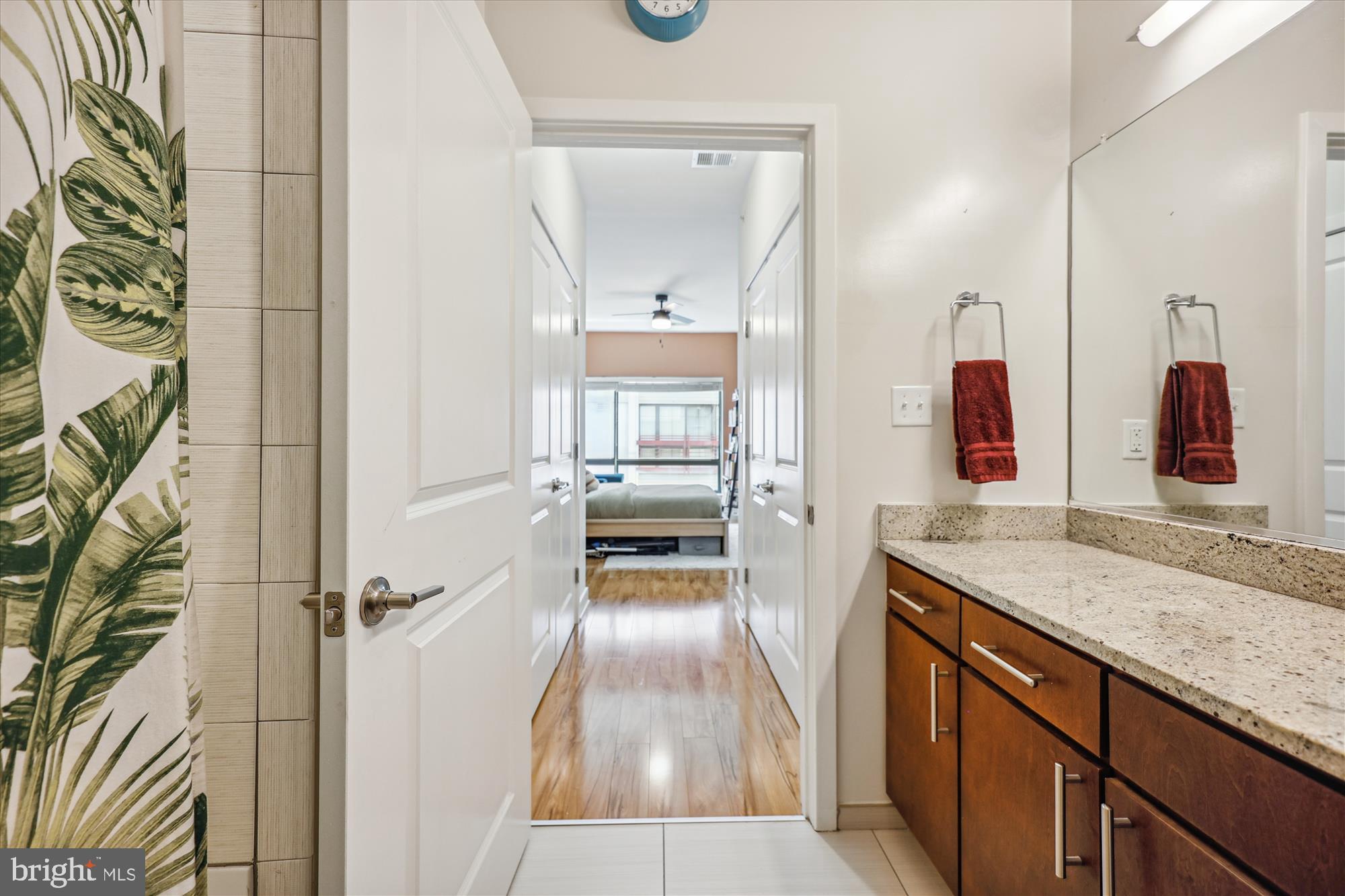 8005 13th Street, Unit 411 Silver Spring, MD 20910 - Photo 34 of 65 full bath 2nd view