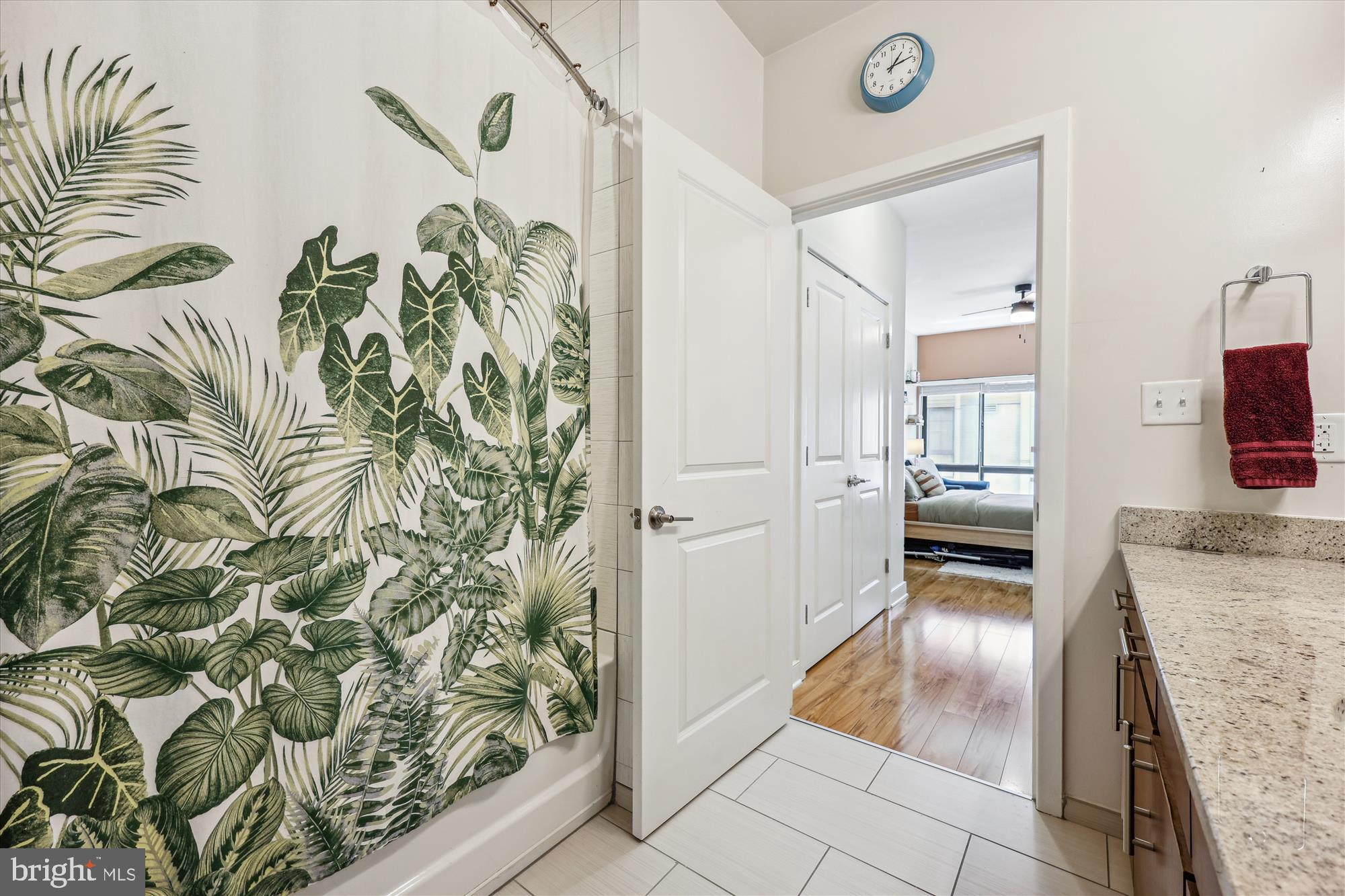 8005 13th Street, Unit 411 Silver Spring, MD 20910 - Photo 35 of 65 Behind the curtain is a real soaker.